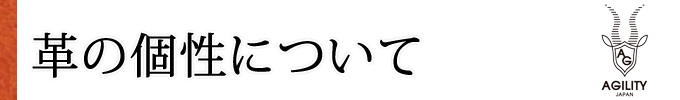 革の個性について